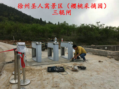 徐州三辊闸厂家-徐州圣人窝景区款式